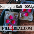 Kamagra Soft 100Mg 15